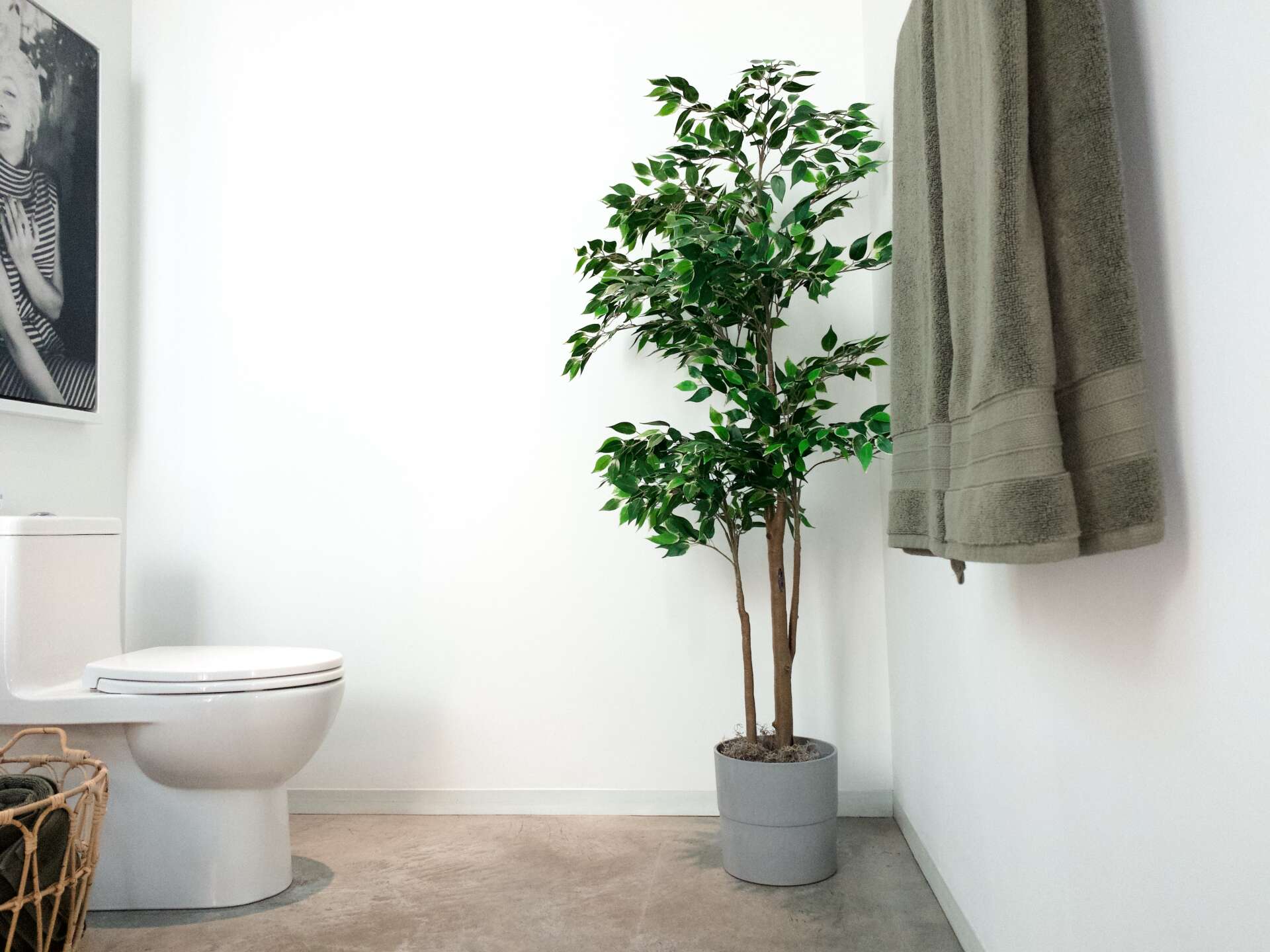 Toilet Seat Up Or Down the most toilet