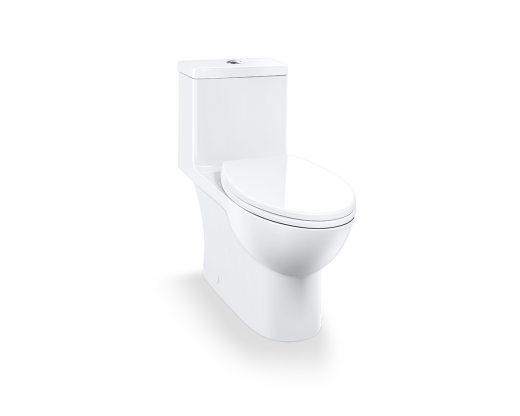 Everything You Need To Know About Back Outlet Toilets I Sustainable  Solutions